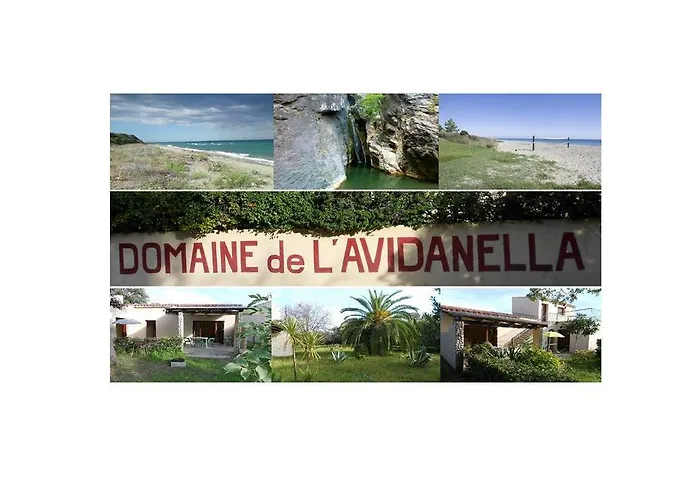 Domaine de l\'Avidanella