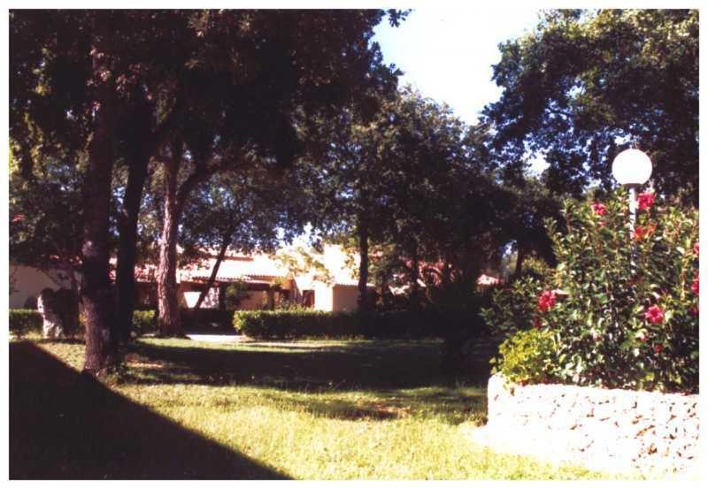 Domaine De L'avidanella