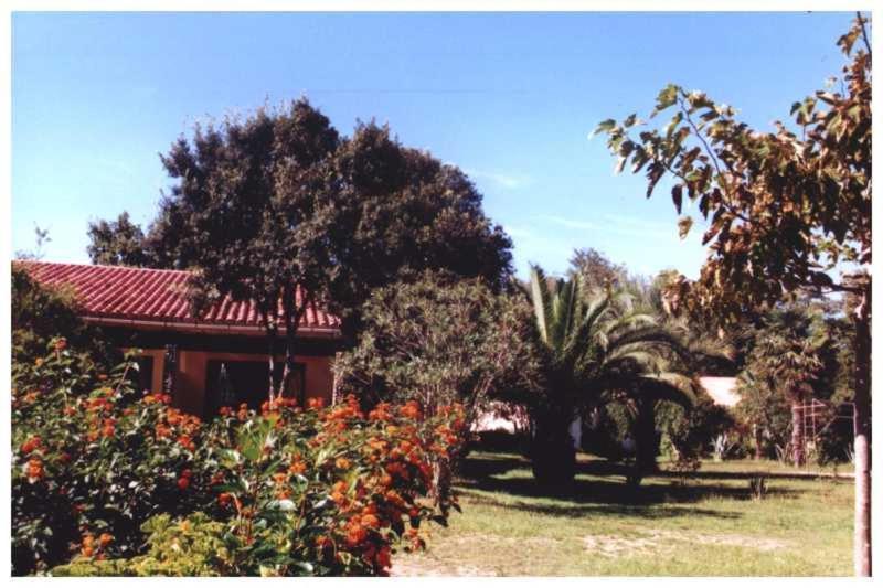 Domaine De L'avidanella