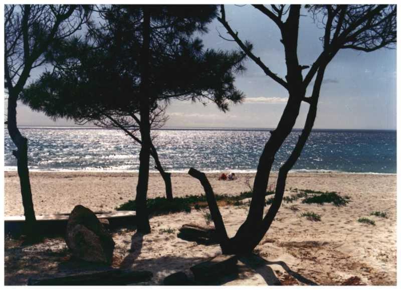 Appartamento Domaine De L'avidanella