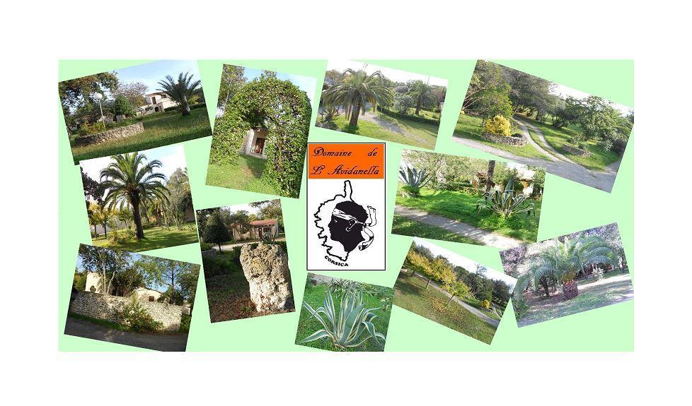 Domaine De L'avidanella *